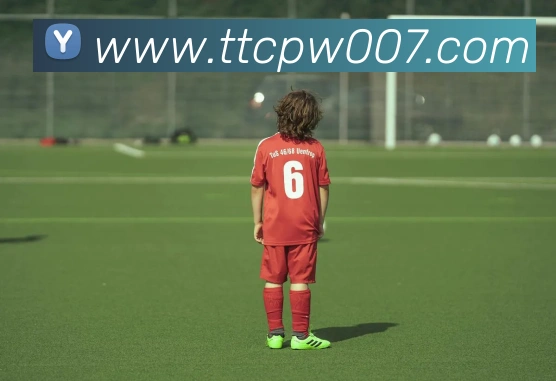 天天彩票官方网站品牌故事